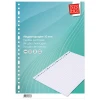 Ringbandpapier ruit 10mm, 100 vel