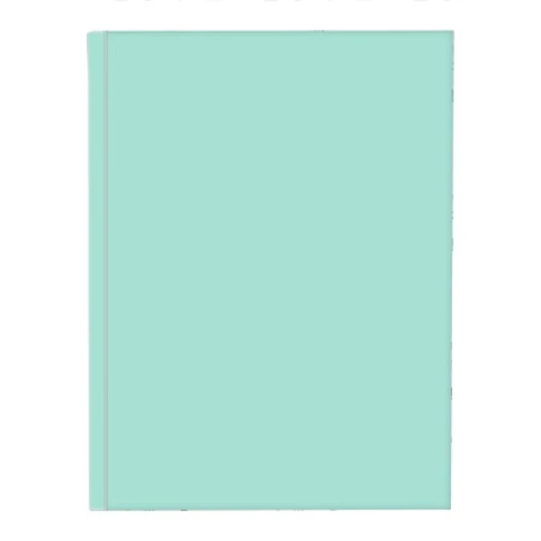 Schrift harde kaft A5 met lijn pastel groen