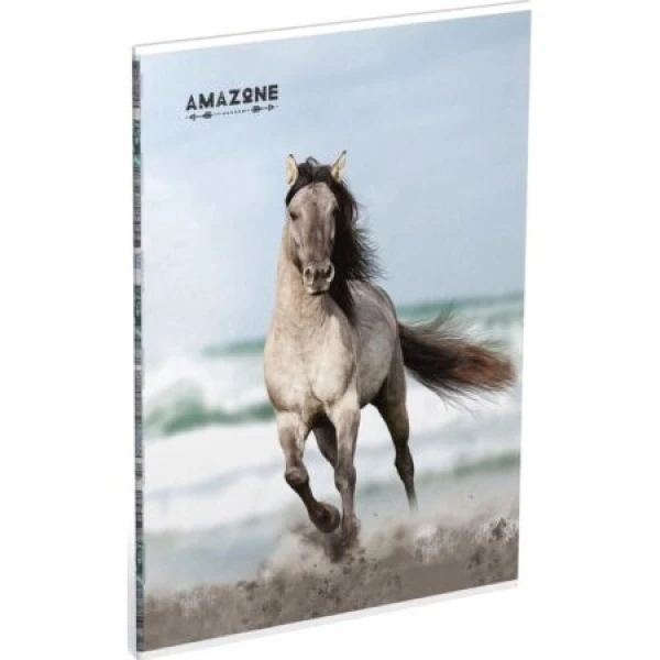 Schrift A4 ruit Amazone