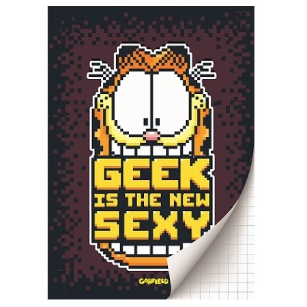Schrift A4 ruit Garfield