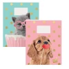 Schriften A5 lijn Studio Pets