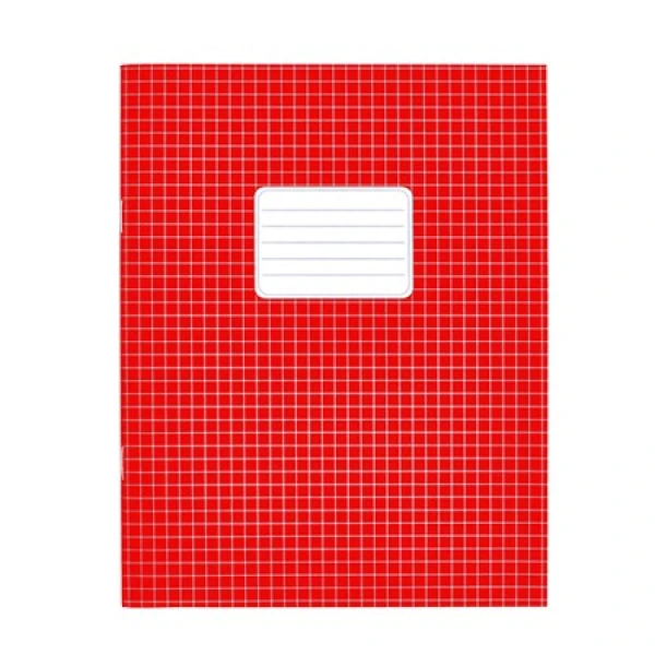 Schriften A5 ruit 5mm rood