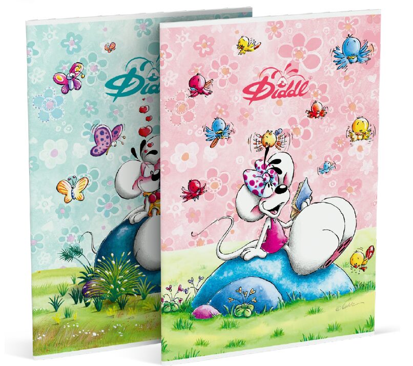Diddl Schrift A4 geruit 10mm per stuk (roze of blauw)