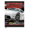 AGENDA BOYS EXTREME CARS