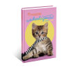 Schoolagenda_RachaelHale