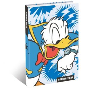 Schoolagenda Donald Duck 2021 - 2022